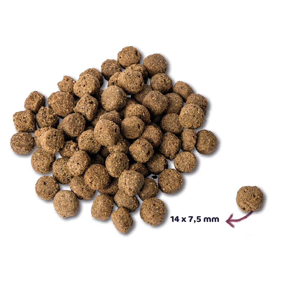 Renske Super Premium Oceaanvis