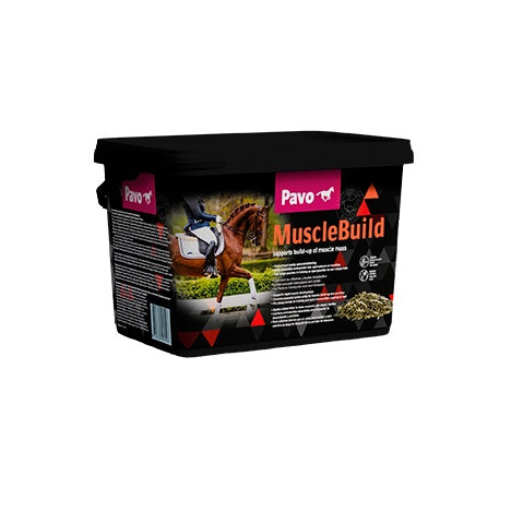 Pavo MuscleBuild
