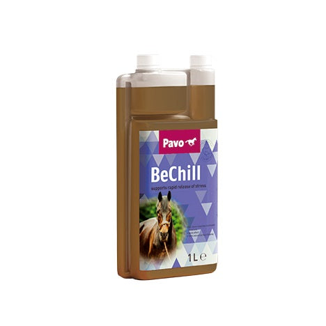 Pavo BeChill (1L)