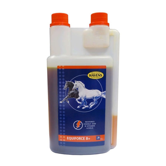 EF B+ liquid 1L