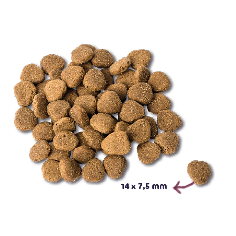 Renske Super Premium Eend&Konijn