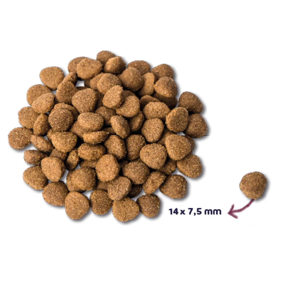 Renske Super Premium Kalkoen&Eend