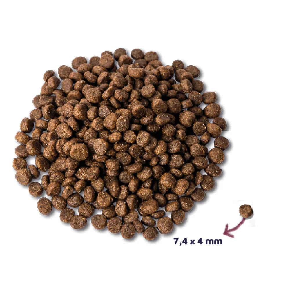 Renske Super Premium Kip&Lam puppy